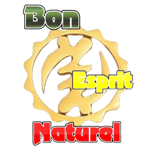 Logo Bon Esprit Naturel